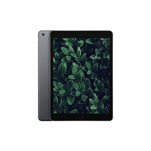 Begagnad iPad 7 (2019) Wi-Fi Rymdgrå
