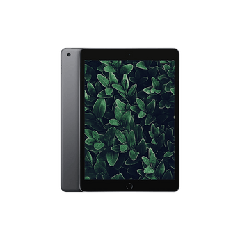 Begagnad iPad 7 (2019) Wi-Fi Rymdgrå