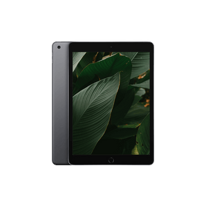 Begagnad iPad 8 (2020) Wi-Fi + 4G Rymdgrå