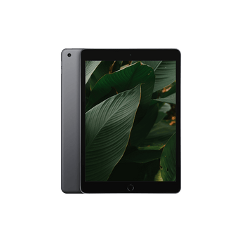 Begagnad iPad 8 (2020) Wi-Fi + 4G Rymdgrå