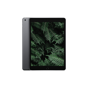 Begagnad iPad 9 (2021) Wi-Fi + 4G Rymdgrå