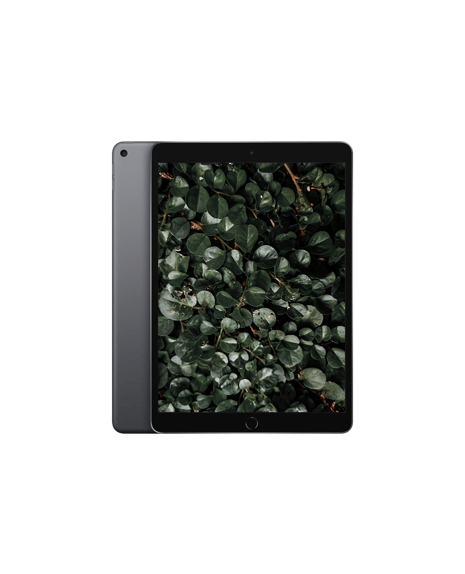 Begagnad iPad Air 3: Wi-Fi + 4G | Refurbly