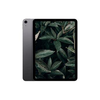 Begagnad iPad Air 5 Wi-Fi + 5G Rymdgrå
