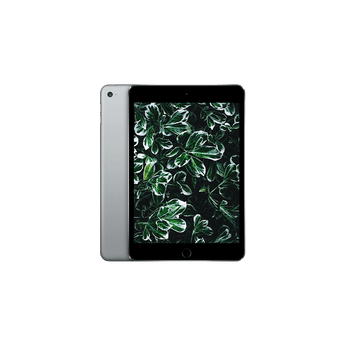 Begagnad iPad Mini 4 Wi-Fi Rymdgrå