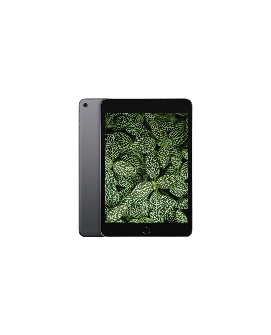 Used iPad Mini 5 Wi-Fi with 2 year warranty | Refurbly