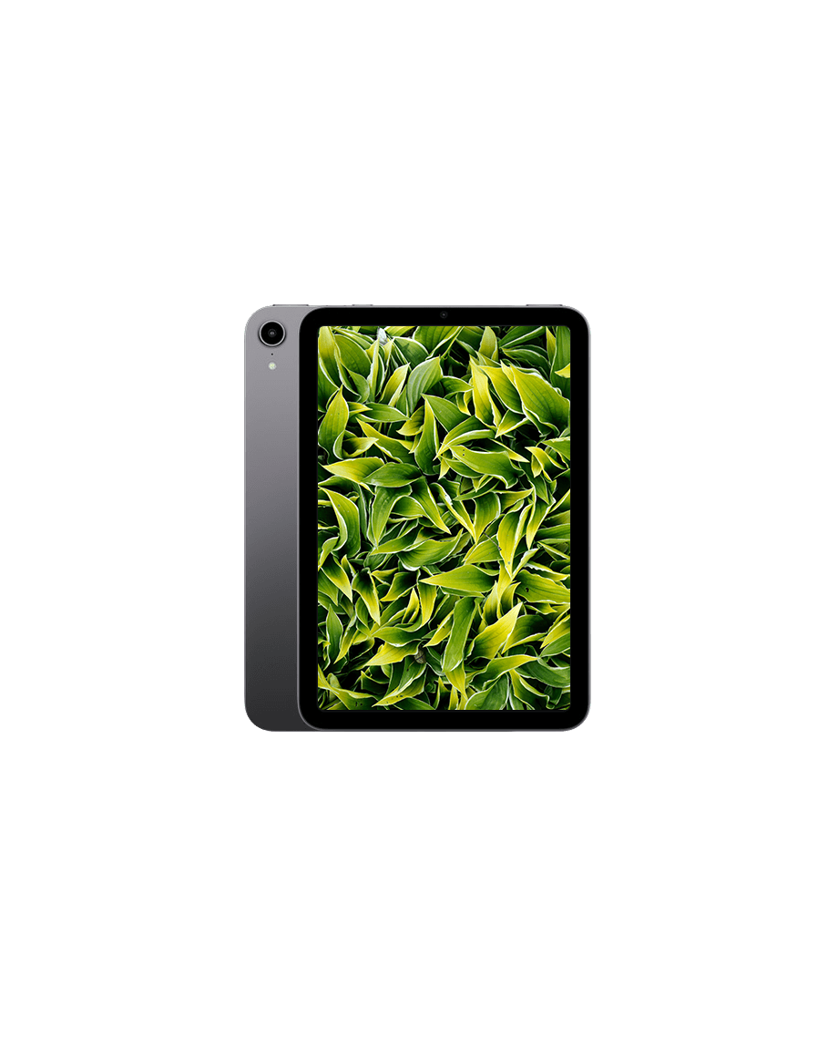 Used iPad Mini 6 Wi-Fi + 5G with 2 year warranty | Refurbly