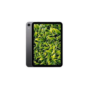 Begagnad iPad Mini 6 Wi-Fi Rymdgrå
