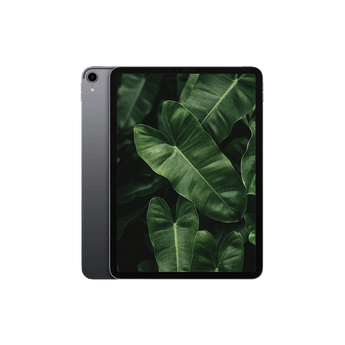 Begagnad iPad Pro 1 (2018) 11" Wi-Fi +4G Rymdgrå