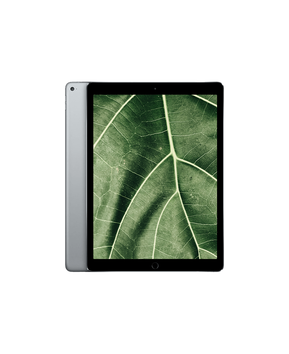 Begagnad iPad Pro 1 (2015) 12.9" Wi-Fi med 2 års garanti | Refurbly