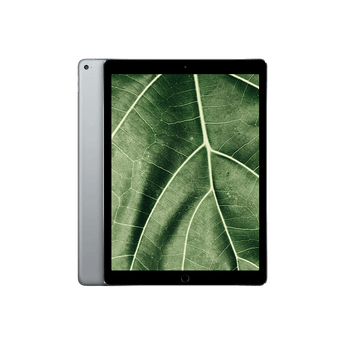 Begagnad iPad Pro 1 (2015) 12.9" Wi-Fi + 4G Rymdgrå