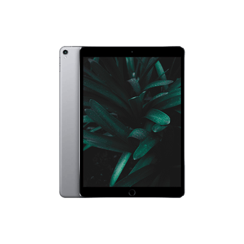 Begagnad iPad Pro 2 (2017) 10.5" Wi-Fi + 4G Rymdgrå