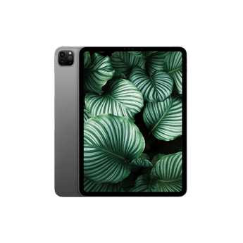 Begagnad iPad Pro 4 (2022) 11" Wi-Fi Rymdgrå