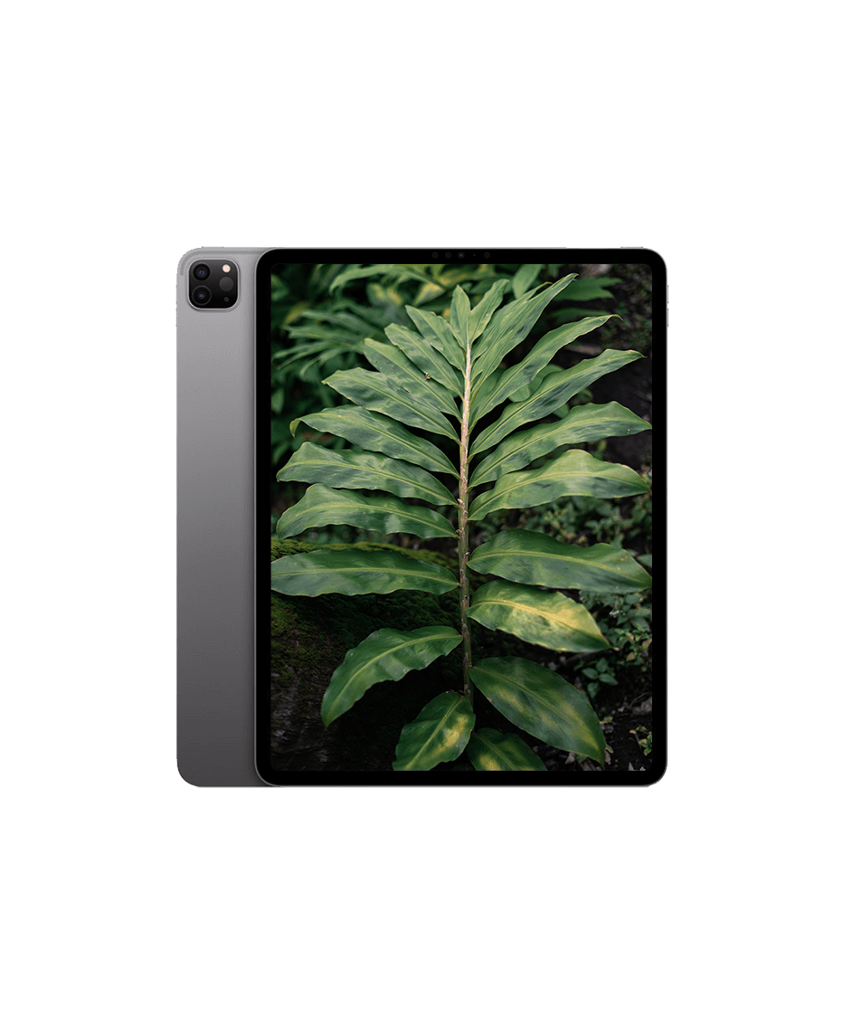 Used iPad Pro 6 (2022) 12.9" Wi-Fi + 5G with 2 year warranty | Refurbly