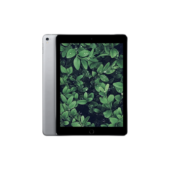 Begagnad iPad Pro 1 (2016) 9.7" Wi-Fi Rymdgrå