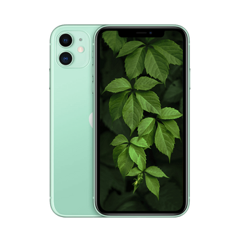 Begagnad iPhone 11 grön
