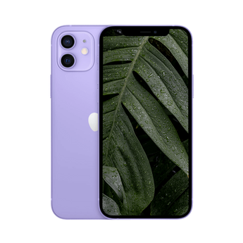 Begagnad iPhone 12 lila
