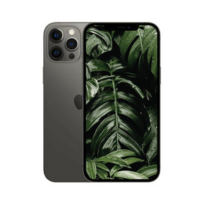 Begagnad iPhone 12 Pro Grafit