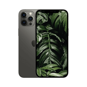 Begagnad iPhone 12 Pro Grafit