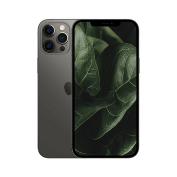 Begagnad iPhone 12 Pro Max Grafit