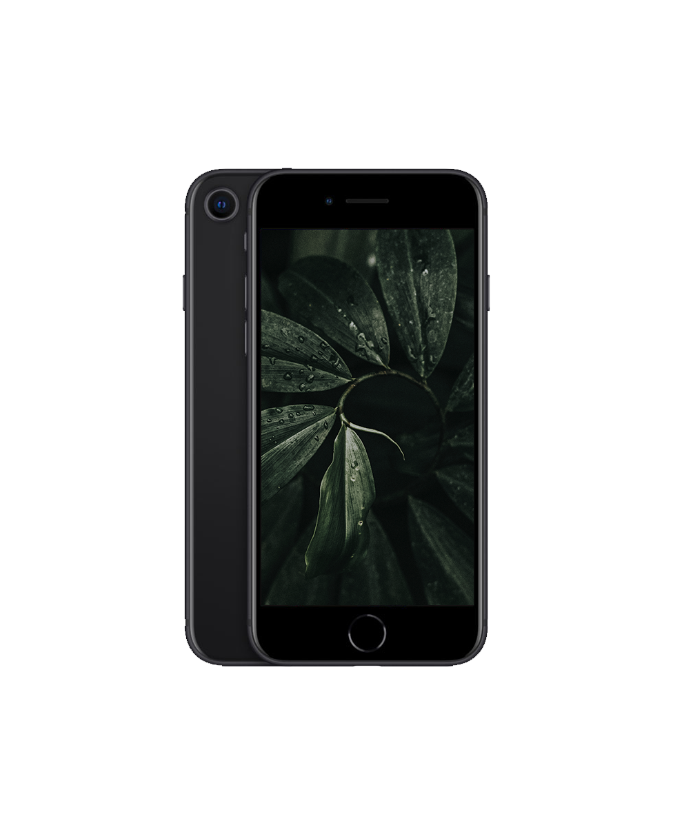 Used iPhone SE 2020 with 2 year warranty | Refurbly