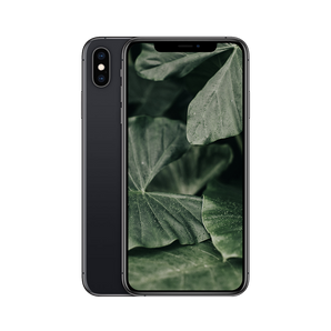 Begagnad iPhone X rymdgrå