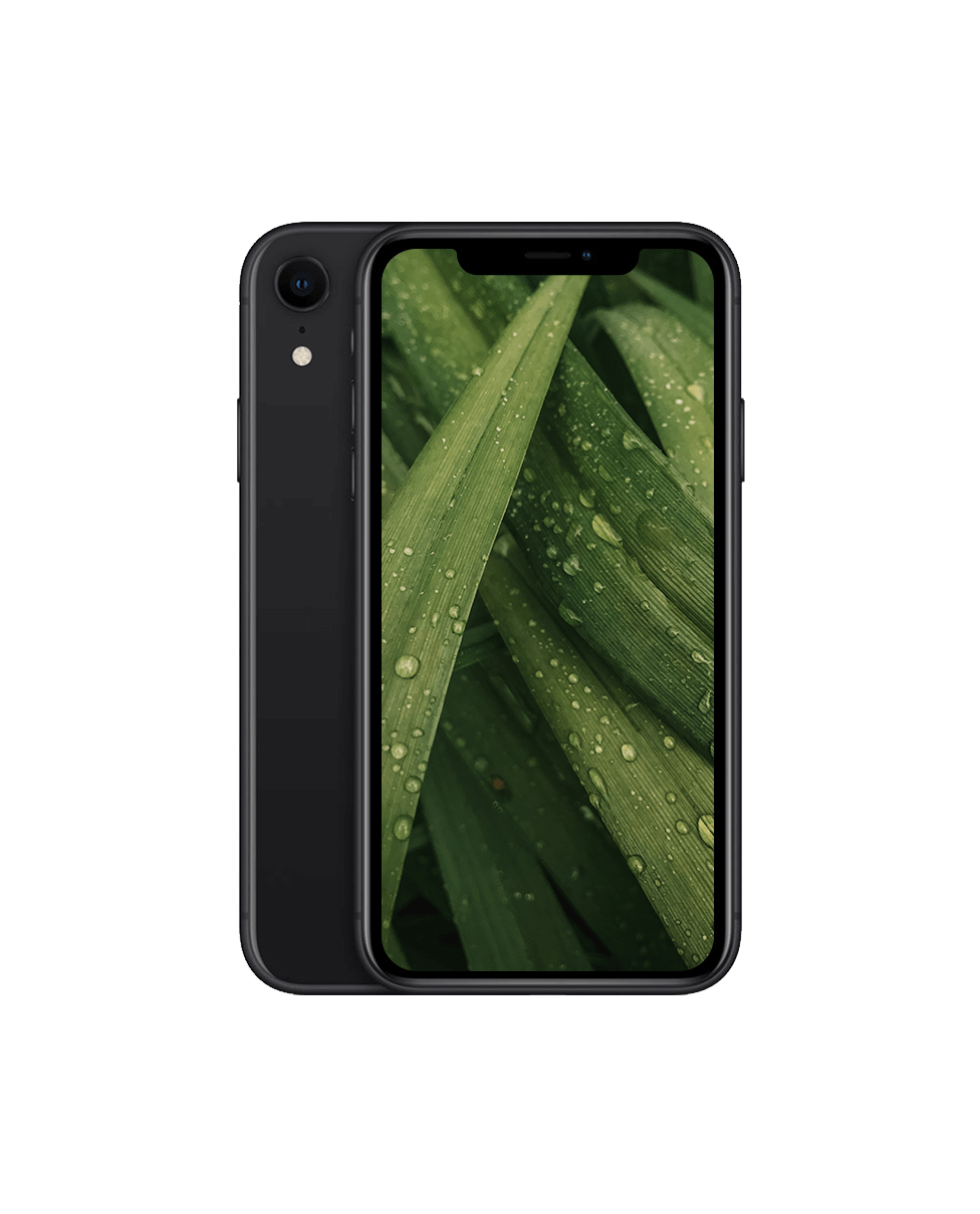 Used iPhone XR with 2 year warranty | Refurbly
