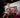 Årets Unga Företagare: Refurbly-grundaren David Lundgren