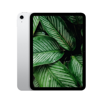 iPad 10th gen Silver