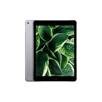 Begagnad iPad Air 2 (2014) Wi-Fi + 4G i färgen rymdgrå
