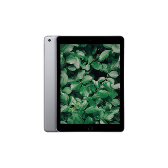 Begagnad iPad 6 (2018) Wi-Fi + 4G Rymdgrå