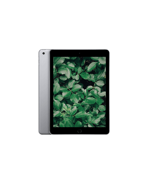 iPad 6 (2018) Wi-Fi + 4G