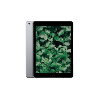 Begagnad iPad 6 (2018) Wi-Fi + 4G Rymdgrå