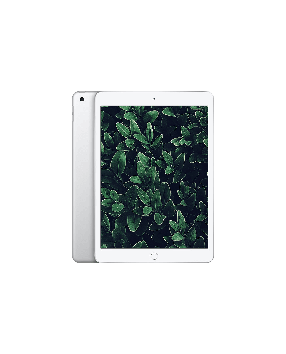 iPad 7 (2019) Wi-Fi — Silver / / Nyskick