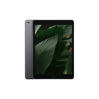 Begagnad iPad 8 (2020) Wi-Fi Rymdgrå