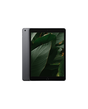 iPad 8 (2020) Wi-Fi + 4G