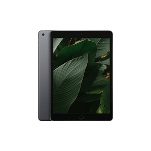 Begagnad iPad 8 (2020) Wi-Fi + 4G Rymdgrå