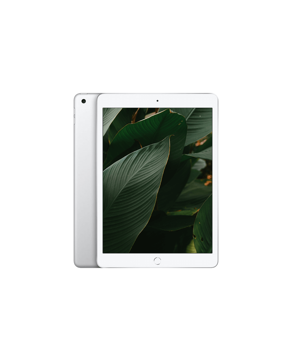 iPad 8 (2020) Wi-Fi + — Silver / / Nyskick