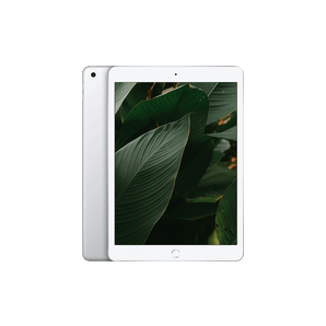 iPad 8 (2020) Wi-Fi + 4G