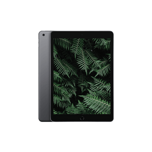 Begagnad iPad 9 (2021) Wi-Fi Rymdgrå