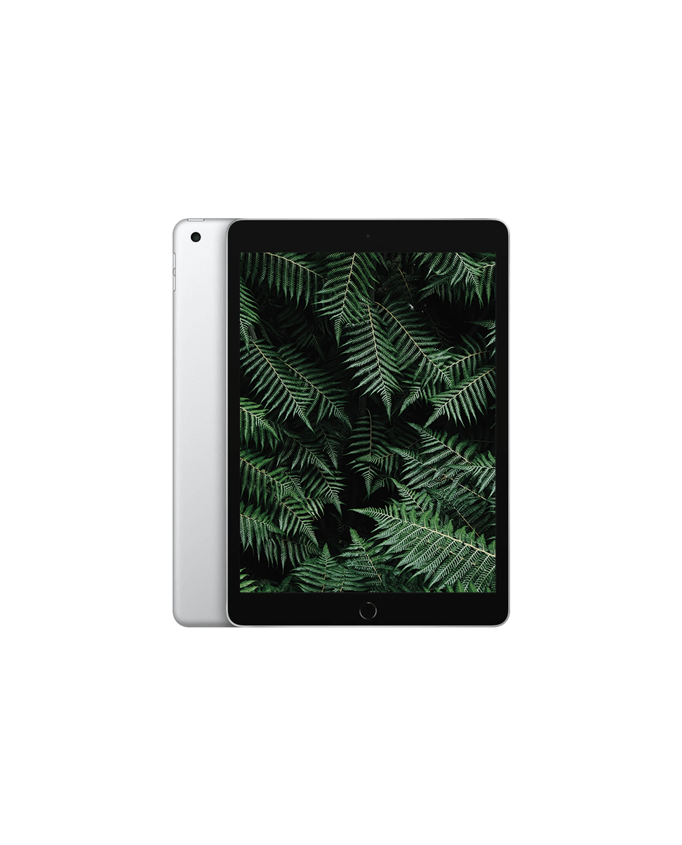 iPad 9 (2021) Wi-Fi — Silver / / Nyskick