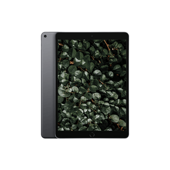 Begagnad iPad Air 3 Wi-Fi + 4G Rymdgrå