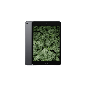 Begagnad iPad Mini 5 Wi-Fi Rymdgrå