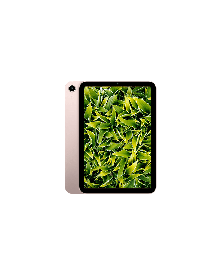 iPad Mini 6 (2021) Wi-Fi + — Rosa / / Nyskick