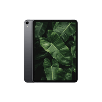 Begagnad iPad Pro 1 (2018) 11" Wi-Fi Rymdgrå
