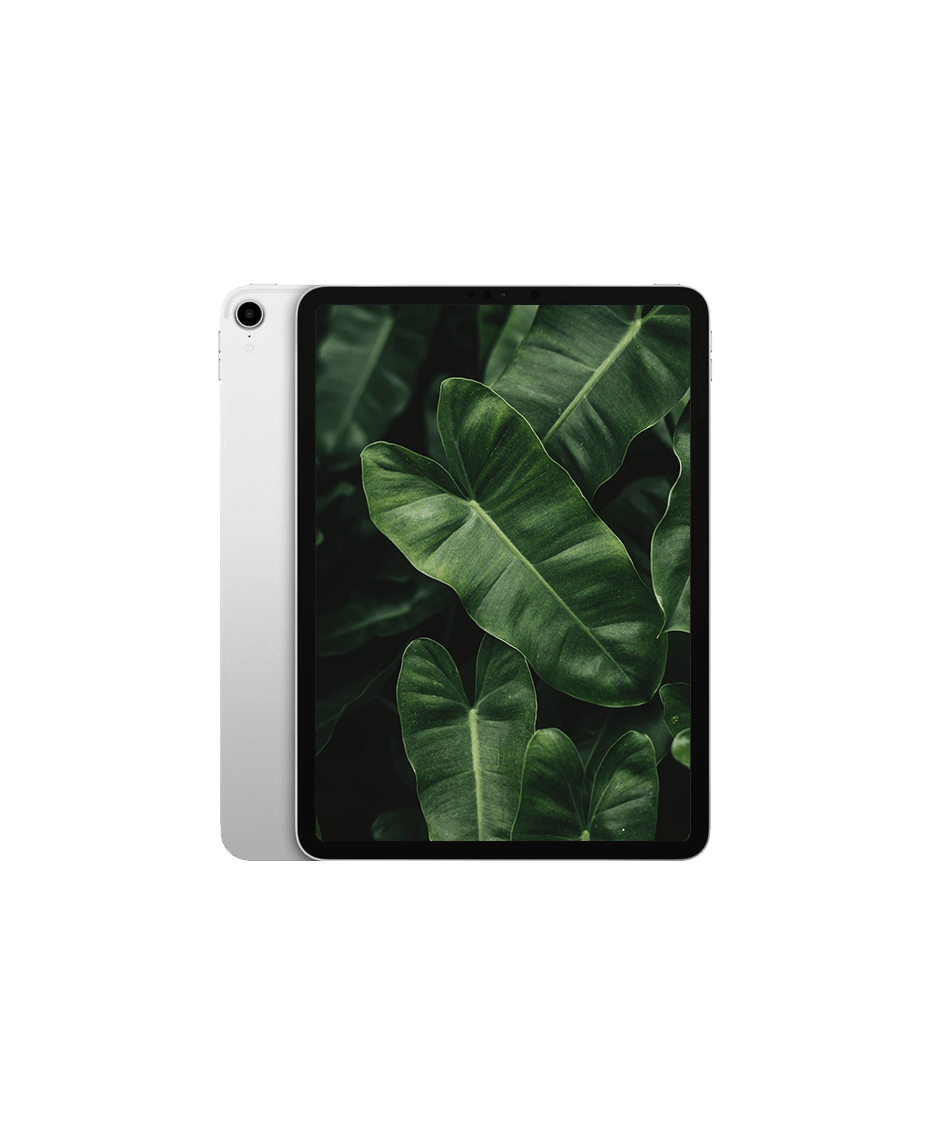 iPad Pro 1 (2018) 11" Wi-Fi + — Silver / / Nyskick