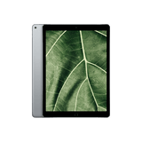 Begagnad iPad Pro 1 (2015) 12.9" Wi-Fi Rymdgrå