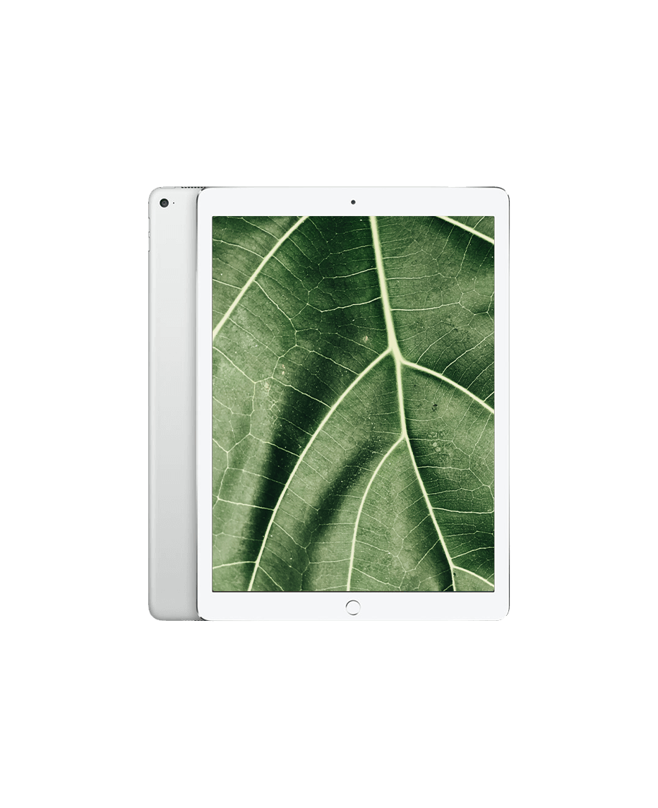 iPad Pro 1 (2015) 12.9" Wi-Fi + — Silver / / Nyskick