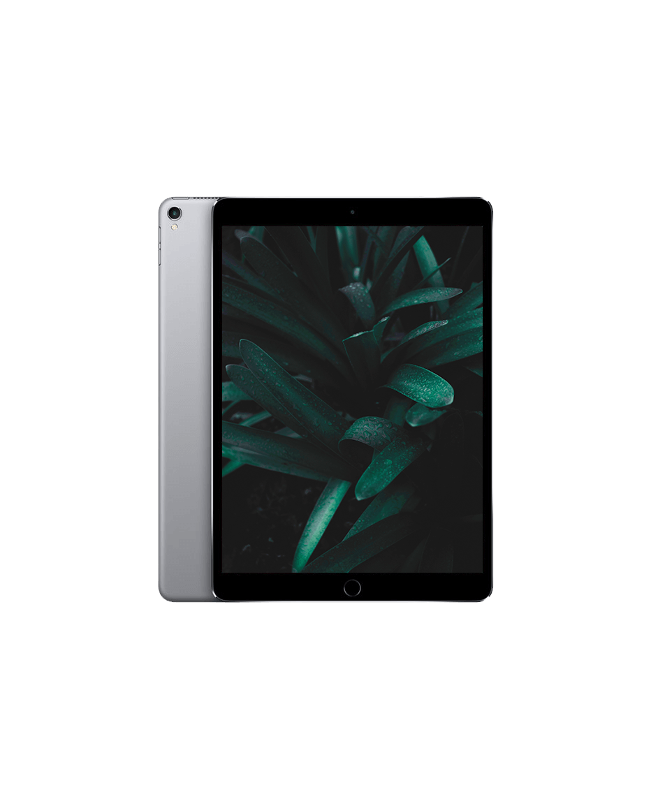 Begagnad iPad Pro 2 (2017) 10.5" Wi-Fi + 4G Rymdgrå