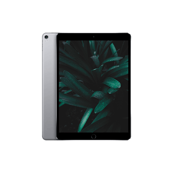 Begagnad iPad Pro 2 (2017) 10.5" Wi-Fi Rymdgrå
