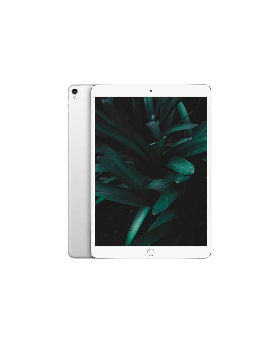 iPad Pro 2 (2017) 10.5" Wi-Fi + — Silver / / Nyskick